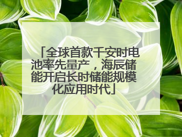 全球首款千安时电池率先量产，海辰储能开启长时储能规模化应用时代