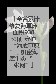 全省累计修复海草床面积938公顷 守护“海底草原”，织密海底生态“一张网”