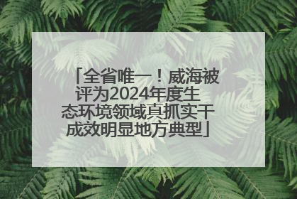 全省唯一！威海被评为2024年度生态环境领域真抓实干成效明显地方典型