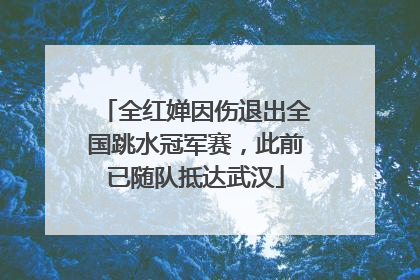 全红婵因伤退出全国跳水冠军赛，此前已随队抵达武汉