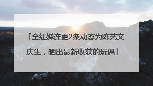 全红婵连更2条动态为陈艺文庆生，晒出最新收获的玩偶