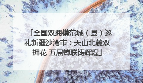 全国双拥模范城（县）巡礼新疆沙湾市：天山北麓双拥花 五届蝉联铸辉煌