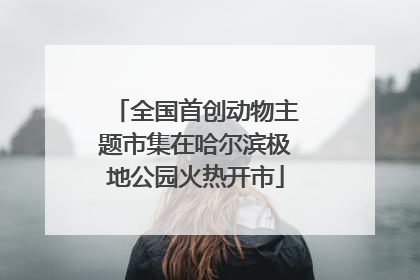 全国首创动物主题市集在哈尔滨极地公园火热开市