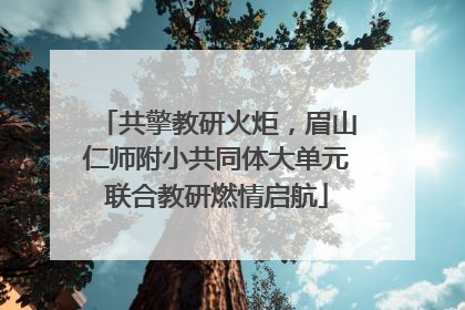 共擎教研火炬，眉山仁师附小共同体大单元联合教研燃情启航