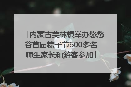 内蒙古美林镇举办悠悠谷首届粽子节600多名师生家长和游客参加