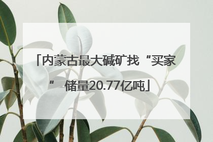 内蒙古最大碱矿找“买家” 储量20.77亿吨