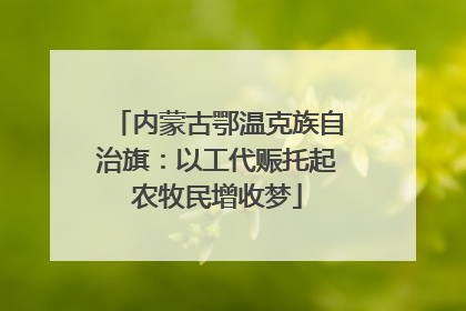 内蒙古鄂温克族自治旗：以工代赈托起农牧民增收梦