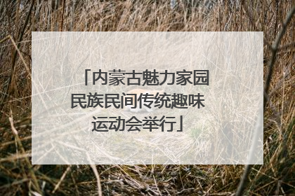 内蒙古魅力家园民族民间传统趣味运动会举行