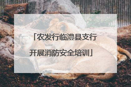 农发行临澧县支行开展消防安全培训