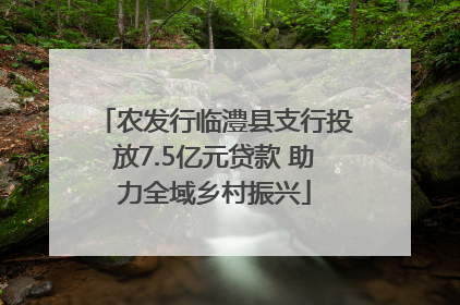 农发行临澧县支行投放7.5亿元贷款 助力全域乡村振兴