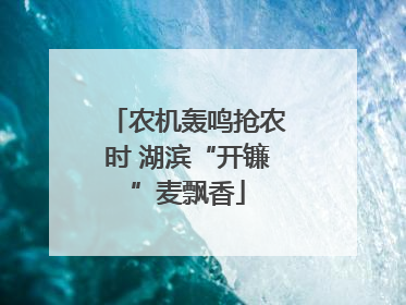 农机轰鸣抢农时 湖滨“开镰”麦飘香