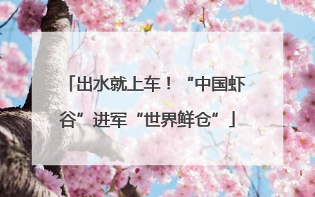 出水就上车！“中国虾谷”进军“世界鲜仓”