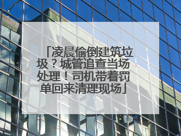 凌晨偷倒建筑垃圾？城管追查当场处理！司机带着罚单回来清理现场