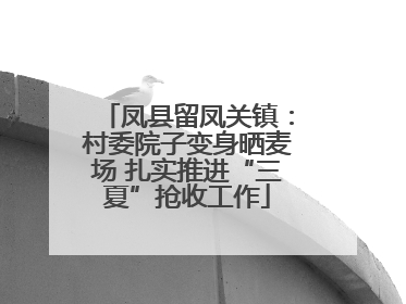 凤县留凤关镇：村委院子变身晒麦场 扎实推进“三夏”抢收工作