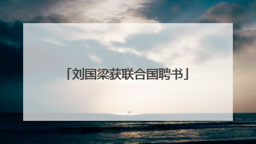 刘国梁获联合国聘书