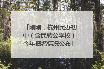 刚刚，杭州民办初中（含民转公学校）今年报名情况公布