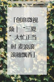 创意微视频｜“三夏”大忙正当时 麦浪滚滚穗飘香