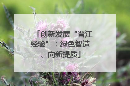 创新发展“晋江经验”：绿色智造、向新提质