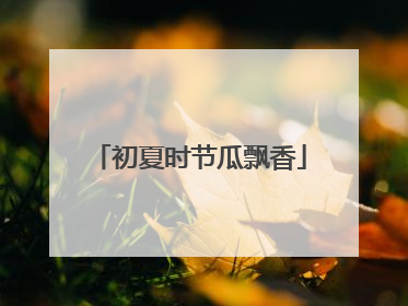 初夏时节瓜飘香