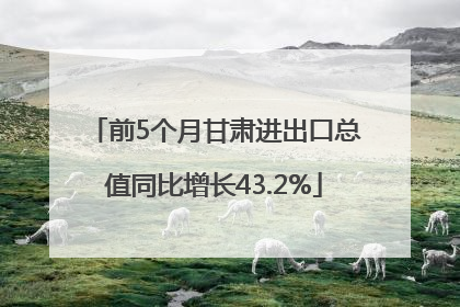 前5个月甘肃进出口总值同比增长43.2%