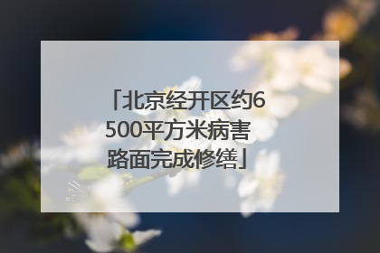 北京经开区约6500平方米病害路面完成修缮