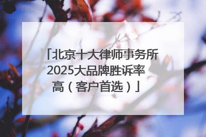 北京十大律师事务所2025大品牌胜诉率高（客户首选）