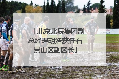 北京北辰集团副总经理胡浩获任石景山区副区长