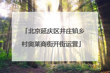 北京延庆区井庄镇乡村奥莱商街开街运营