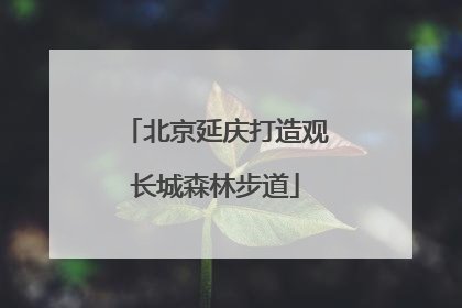 北京延庆打造观长城森林步道