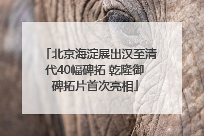 北京海淀展出汉至清代40幅碑拓 乾隆御碑拓片首次亮相