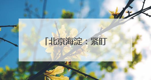 北京海淀：紧盯节日纠“四风” 监督检查不放松