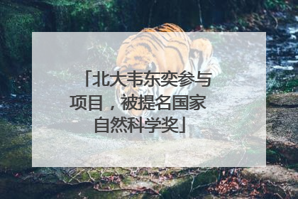 北大韦东奕参与项目，被提名国家自然科学奖