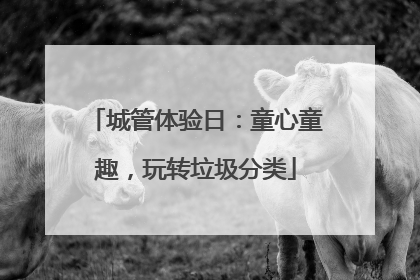 城管体验日：童心童趣，玩转垃圾分类