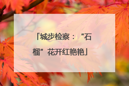 城步检察:“石榴”花开红艳艳
