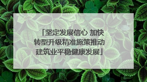 坚定发展信心 加快转型升级精准施策推动建筑业平稳健康发展