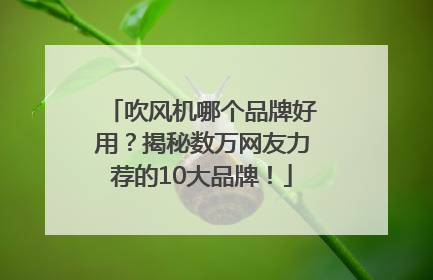 吹风机哪个品牌好用？揭秘数万网友力荐的10大品牌！