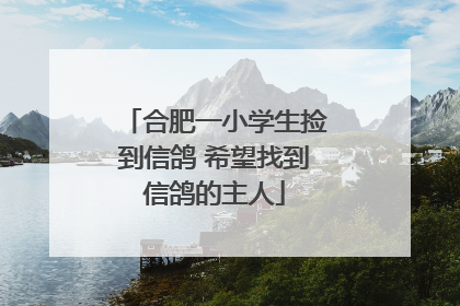 合肥一小学生捡到信鸽 希望找到信鸽的主人