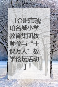 合肥市琥珀名城小学教育集团教师参与“千课万人”数学论坛活动