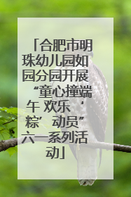合肥市明珠幼儿园如园分园开展“童心撞端午 欢乐‘粽’动员”六一系列活动