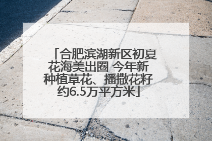 合肥滨湖新区初夏花海美出圈 今年新种植草花、播撒花籽约6.5万平方米