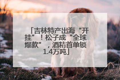 吉林特产出海“开挂”！松子成“全球爆款”，酒精首单锁1.4万吨