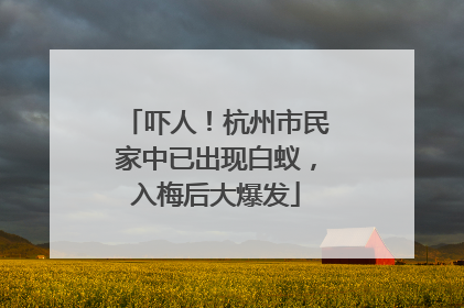 吓人！杭州市民家中已出现白蚁，入梅后大爆发
