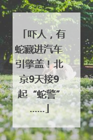 吓人，有蛇藏进汽车引擎盖！北京9天接9起“蛇警”……