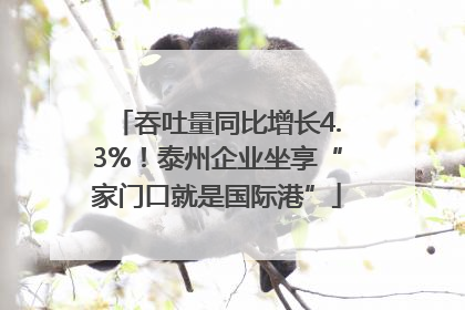 吞吐量同比增长4.3%！泰州企业坐享“家门口就是国际港”