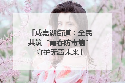 咸嘉湖街道：全民共筑“青春防毒墙” 守护无毒未来