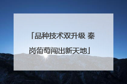 品种技术双升级 秦岗葡萄闯出新天地
