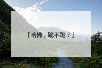 哈佛，跪不跪？