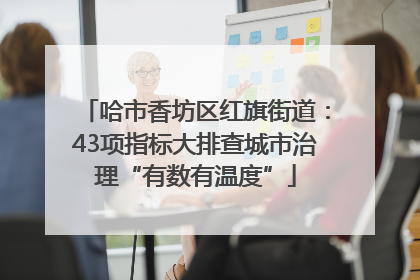 哈市香坊区红旗街道：43项指标大排查城市治理“有数有温度”