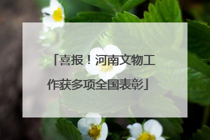 喜报！河南文物工作获多项全国表彰