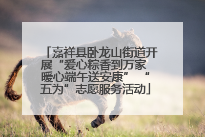 嘉祥县卧龙山街道开展“爱心粽香到万家 暖心端午送安康” “五为”志愿服务活动